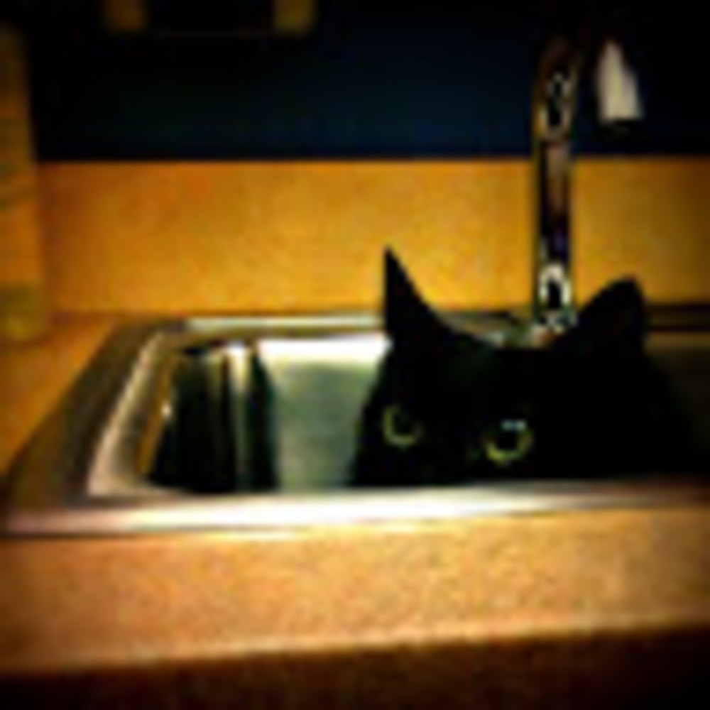 Meet your Posher, Deborah